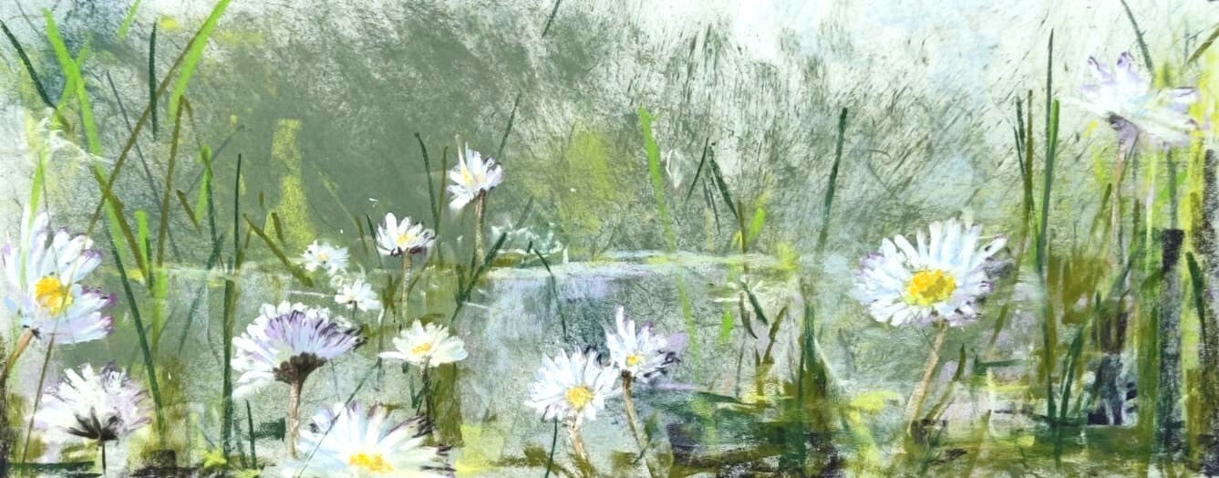 Pâquerettes, pastel 20x50cm, 370€