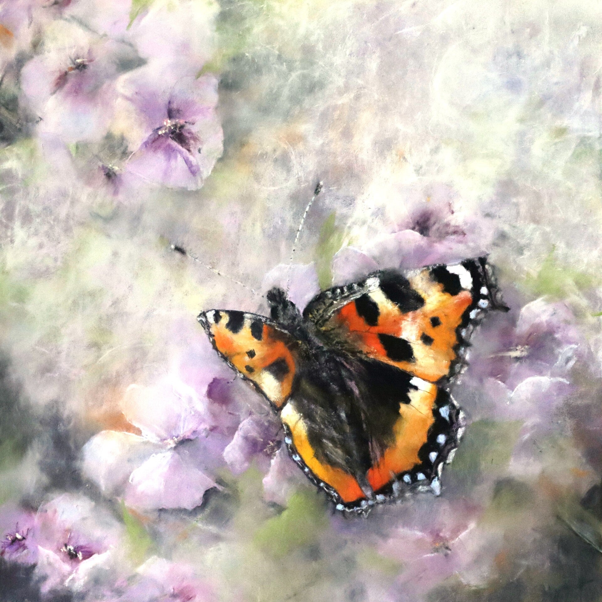 Petite Tortue, 40x40cm 