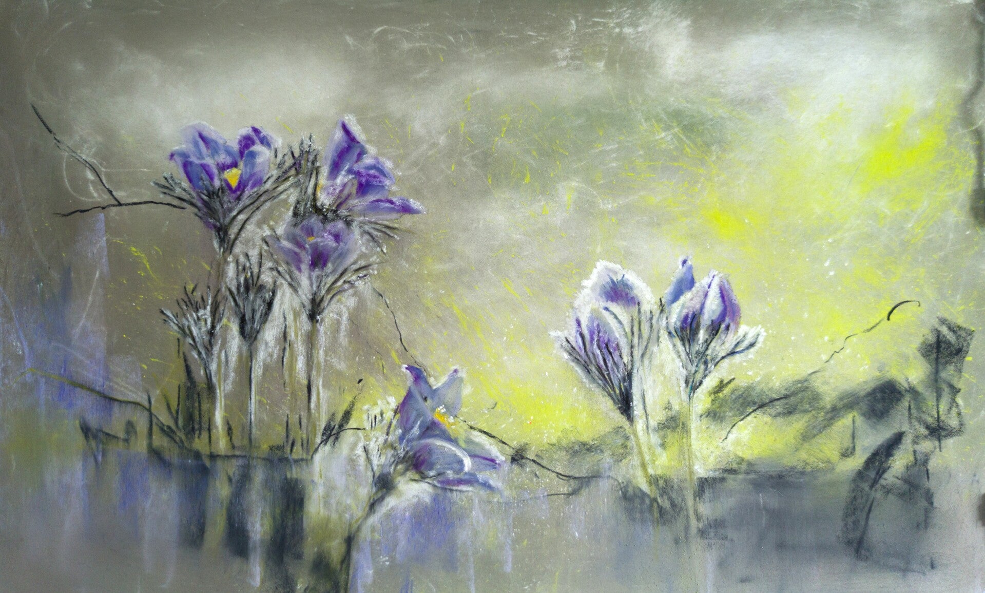 Pulsatilla vulgaris vol au vent, pastel 30x50 cm, 500€