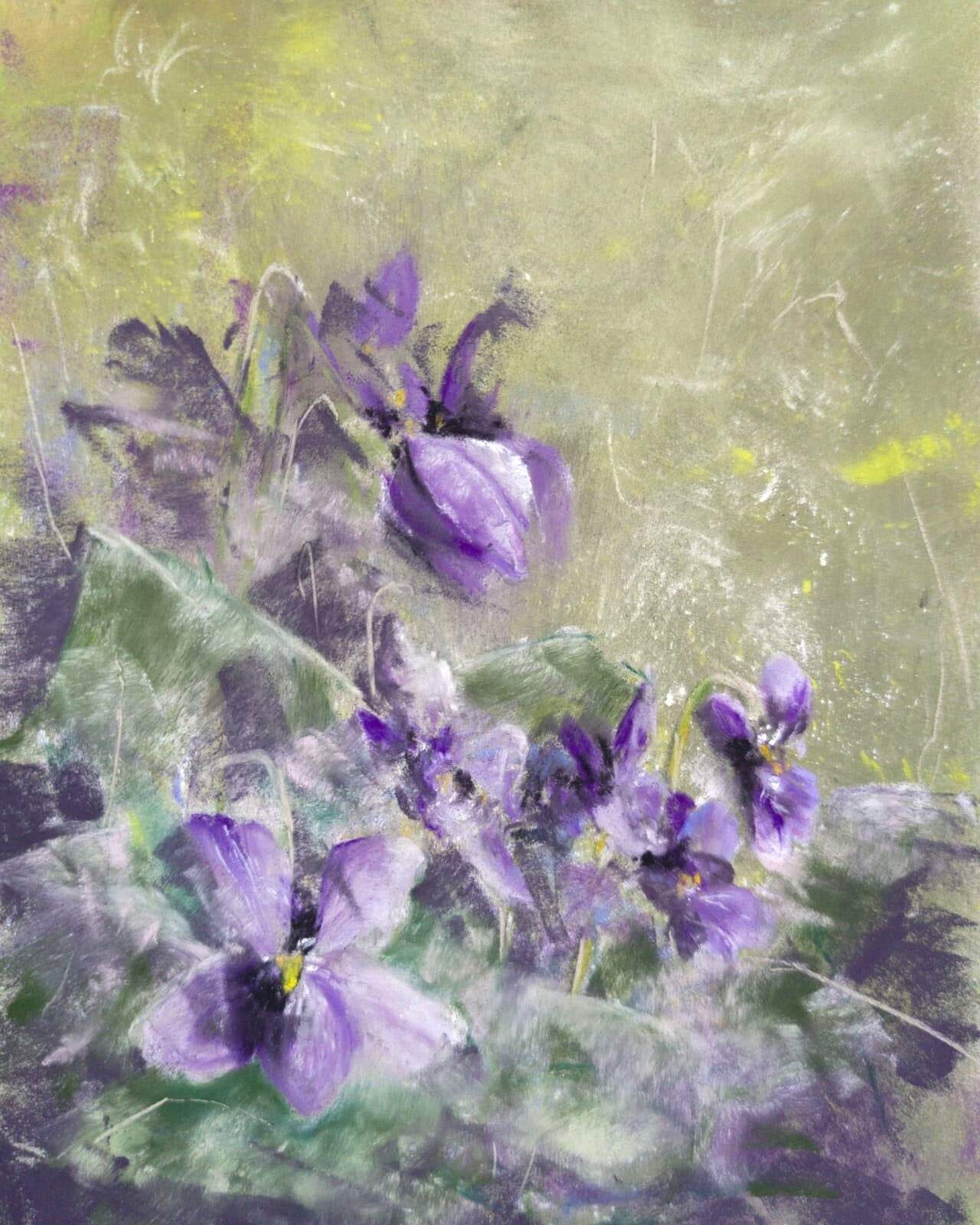 Viola odorata, pastel 24x18cm, 230 €