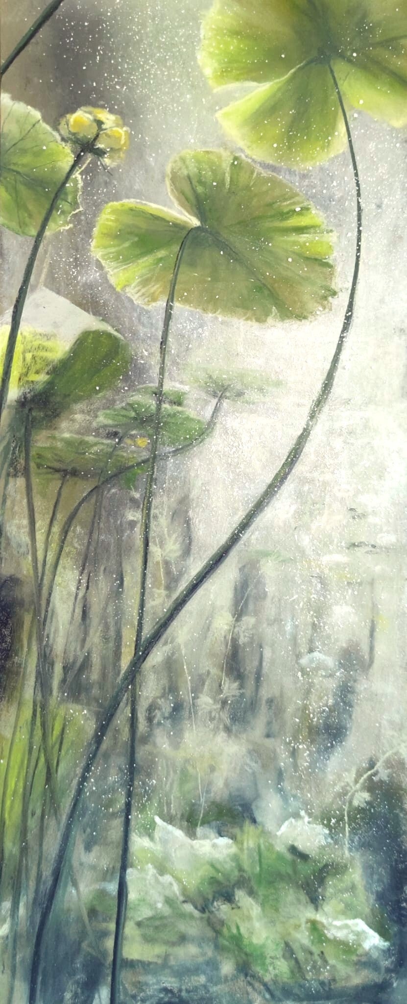 Nénuphars verticaux II, 50x30cm, vendu