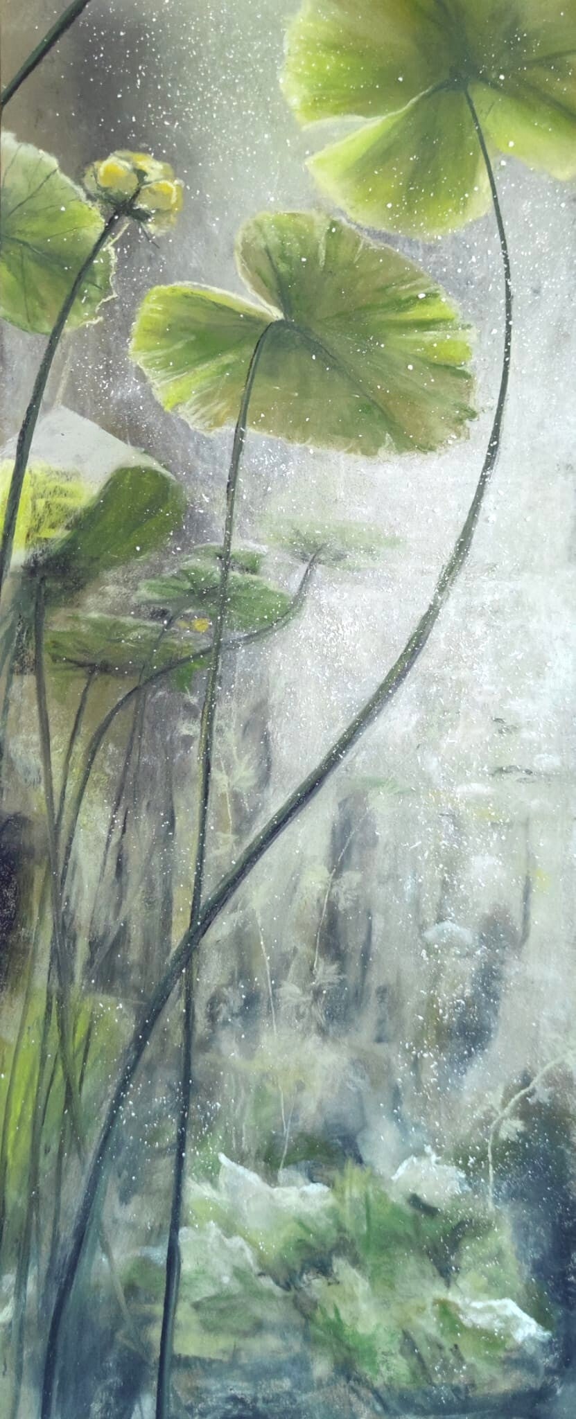Nénuphars verticaux II, 50x30cm, vendu
