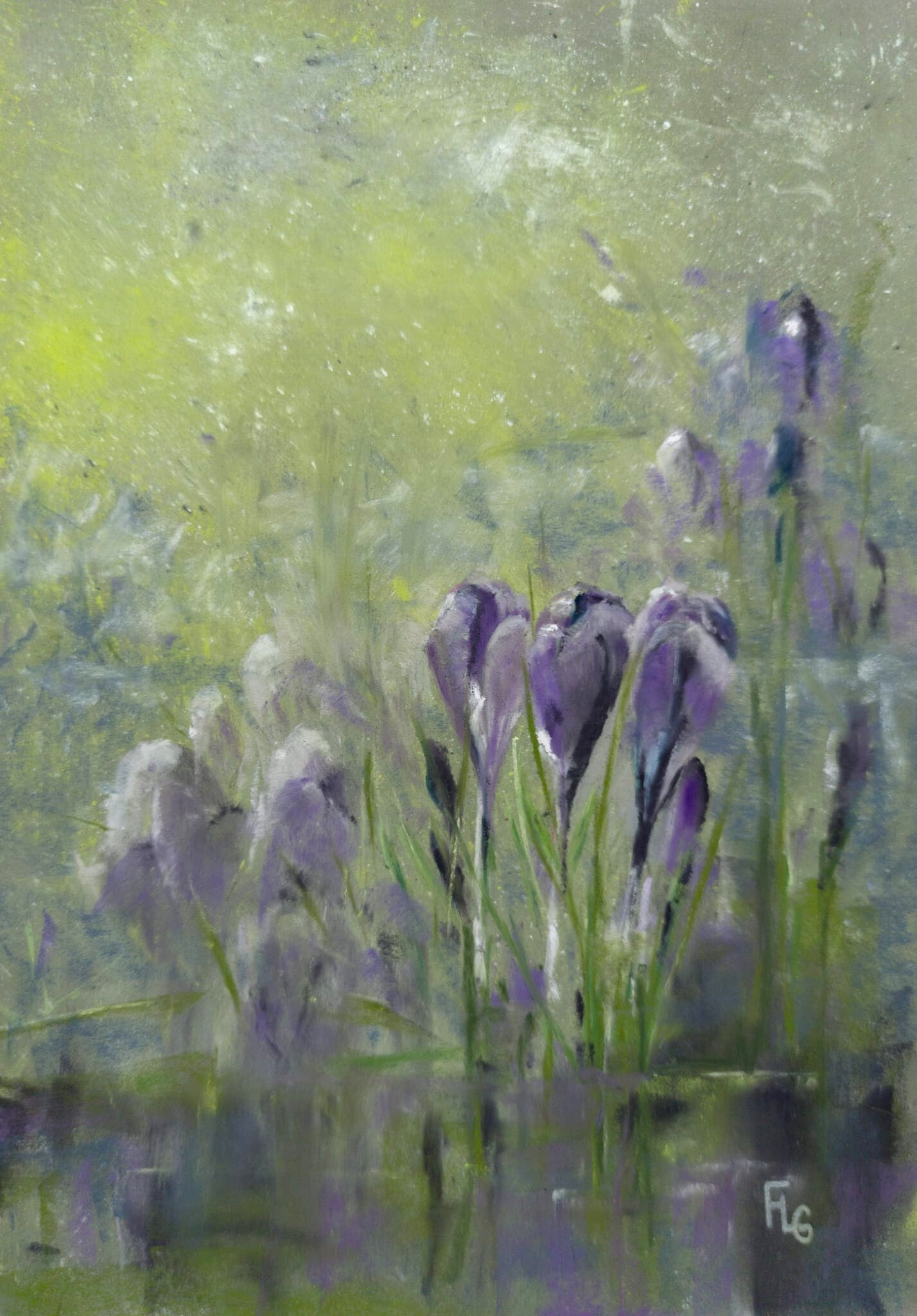 Trois crocus parmi tant d'autres, vendu, pastel 