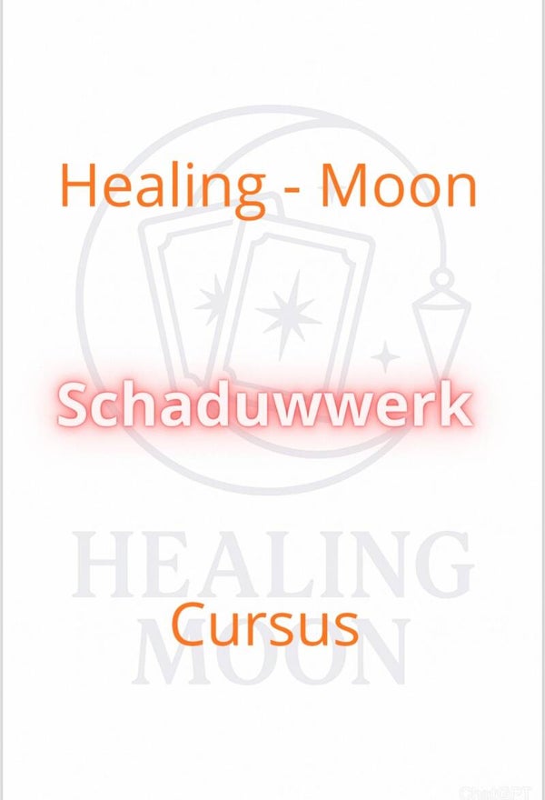 Cursus Schaduwwerk