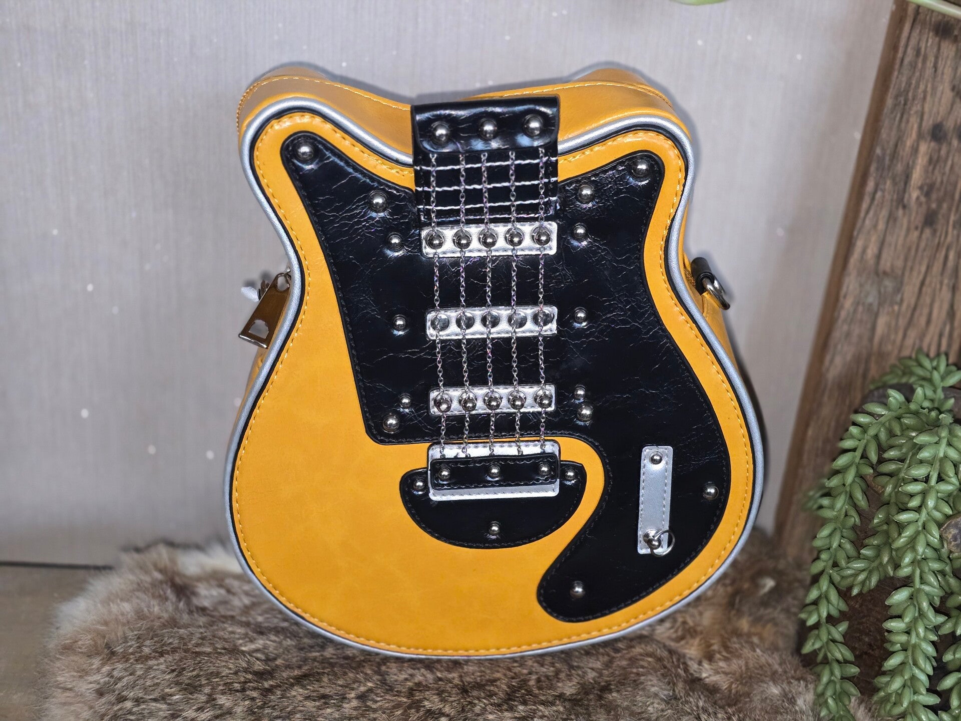 Gitaar tas
