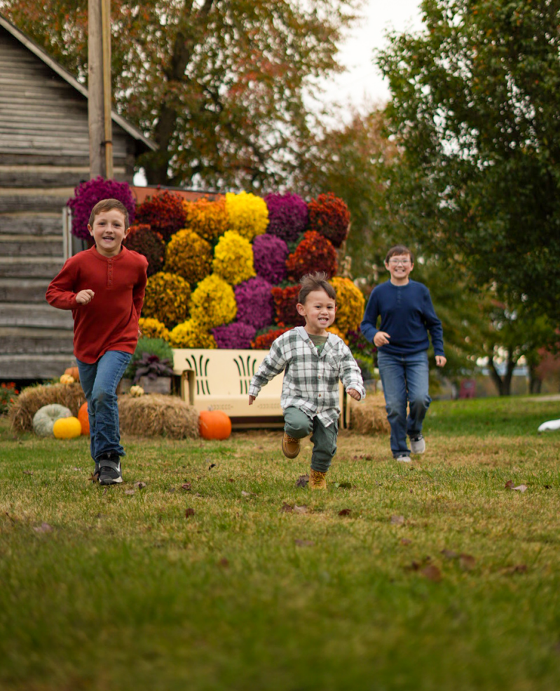 photo-oct-25-2025-17-12-22-standard.png