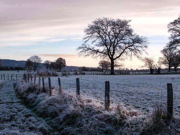 Paysage gelé