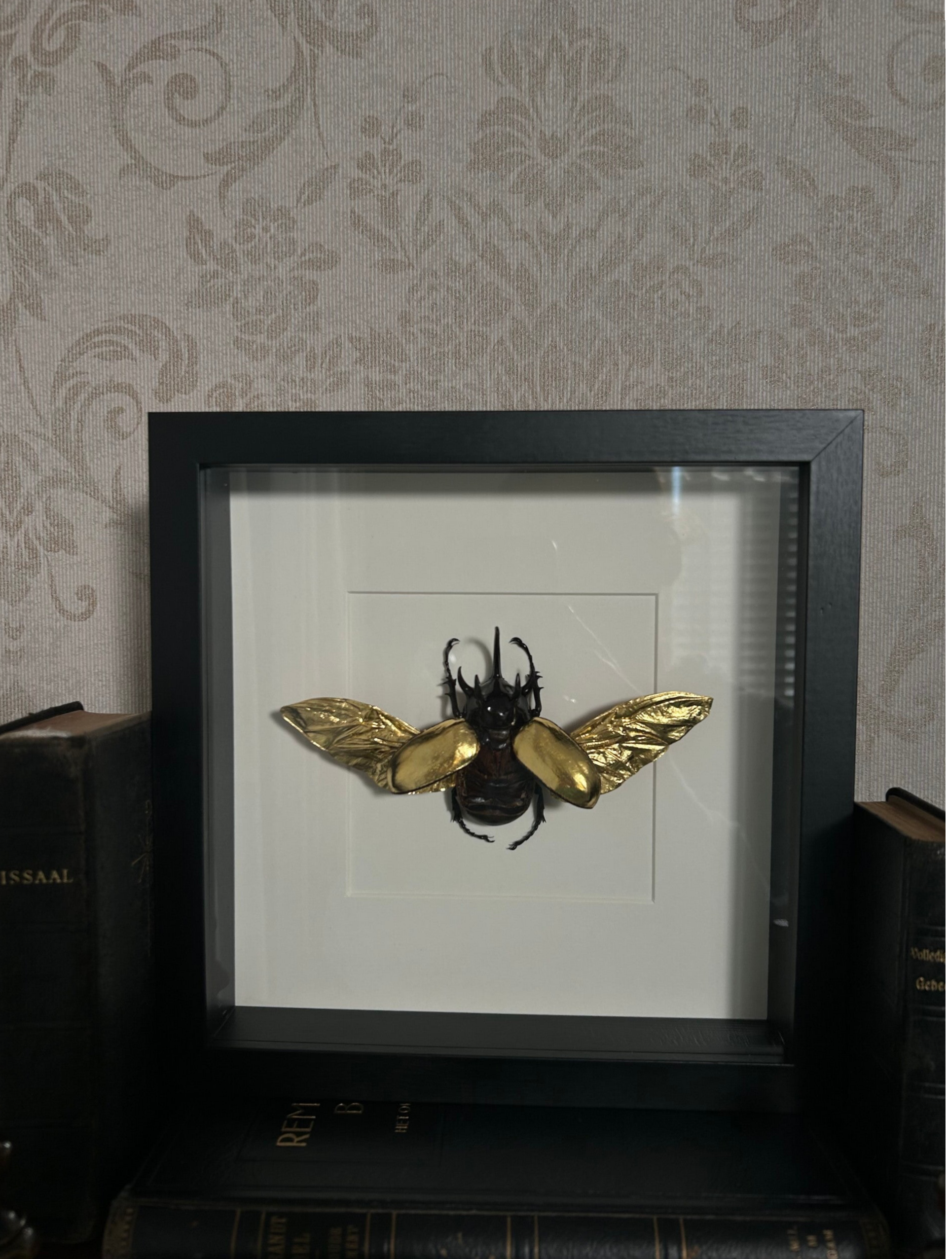 Rhino beetle in frame