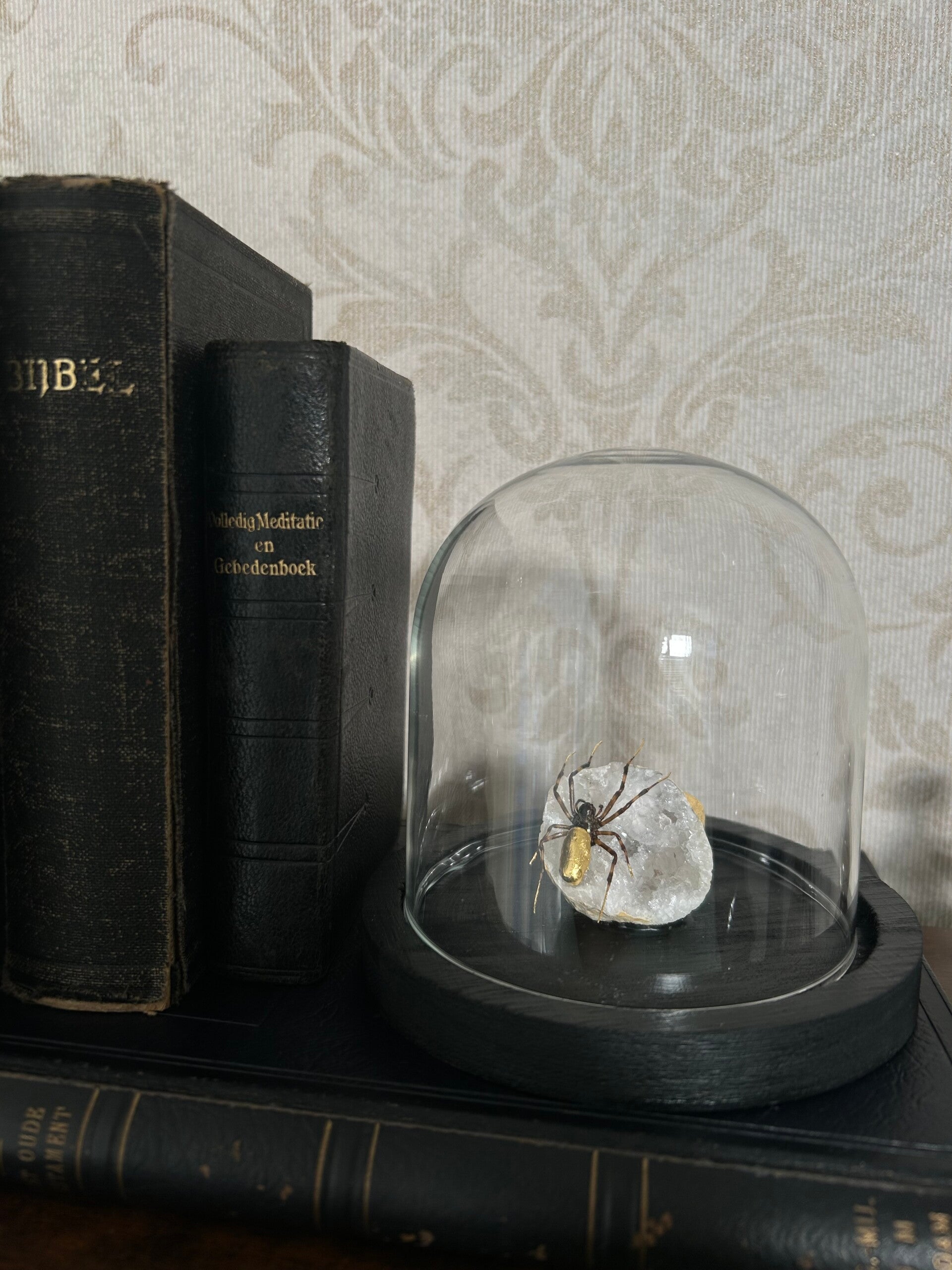 Spider on geode in dome