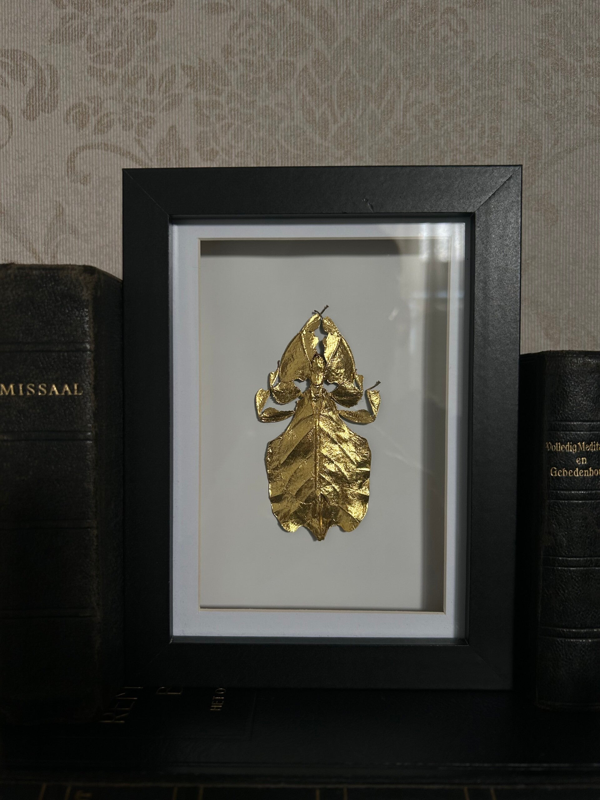 Leaf insect in frame