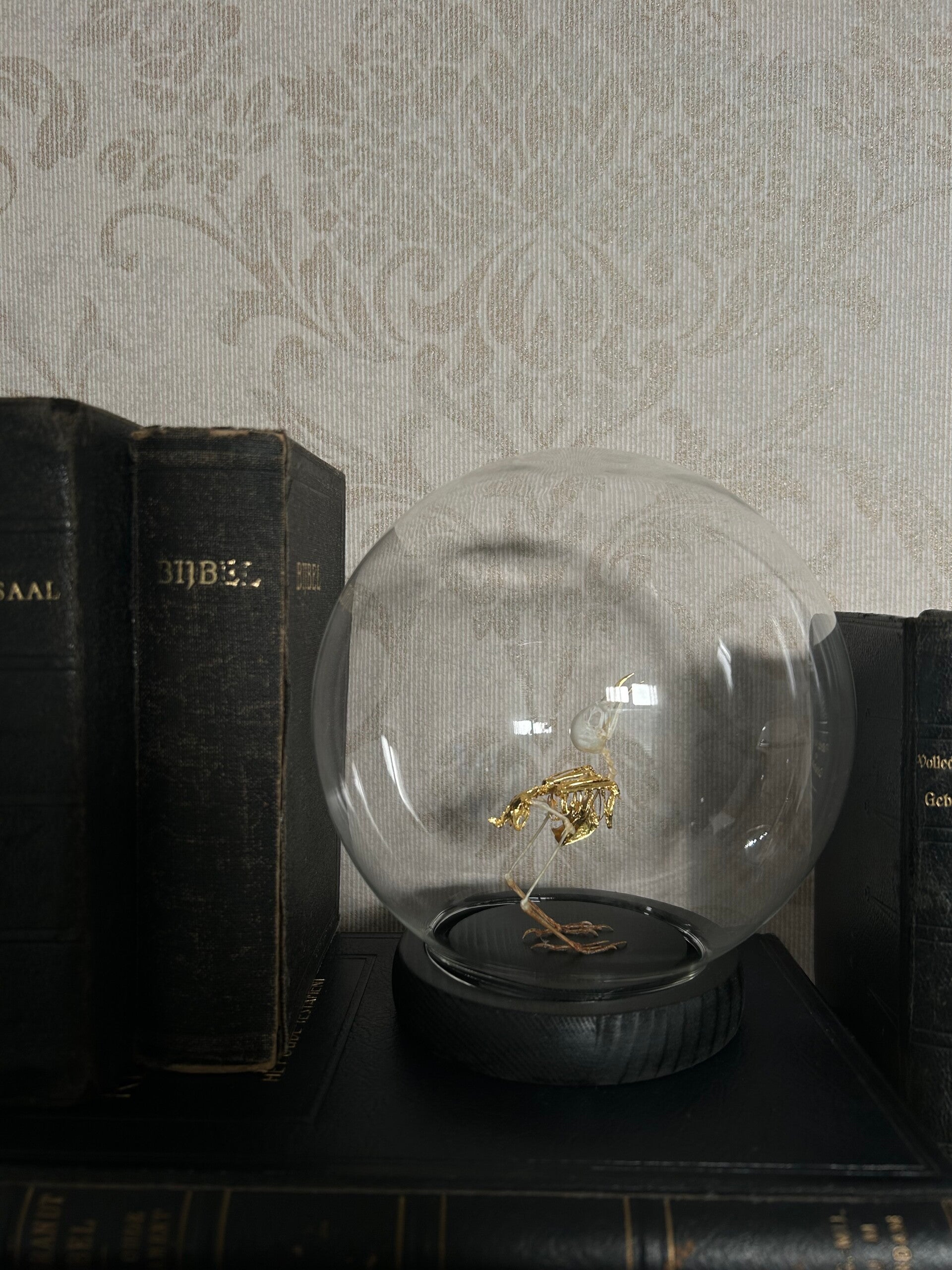 Bird skeleton in LED dome