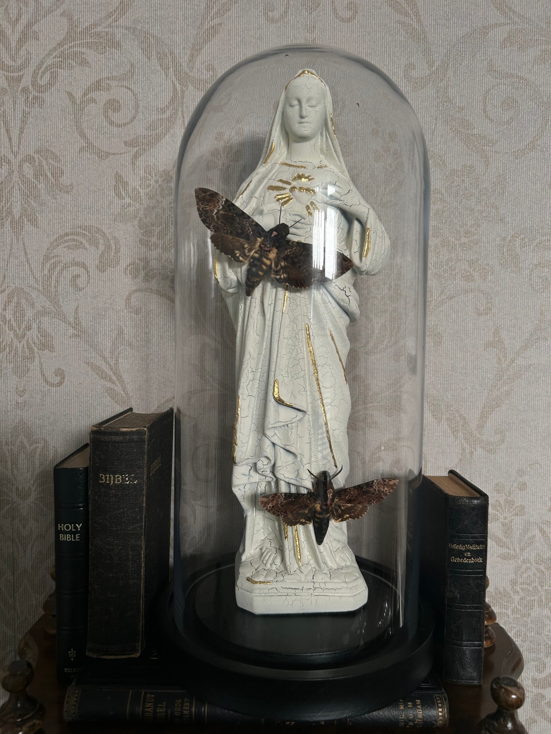 Holy Mary with death's head hawk moths in dome