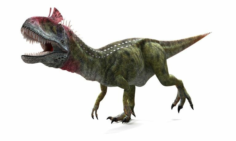 Cryolophosaurus