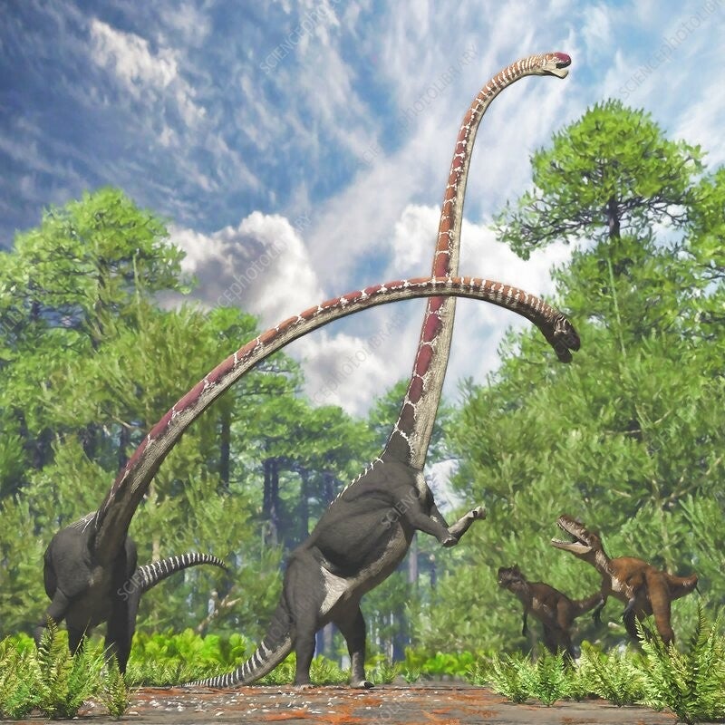 Omeisaurus