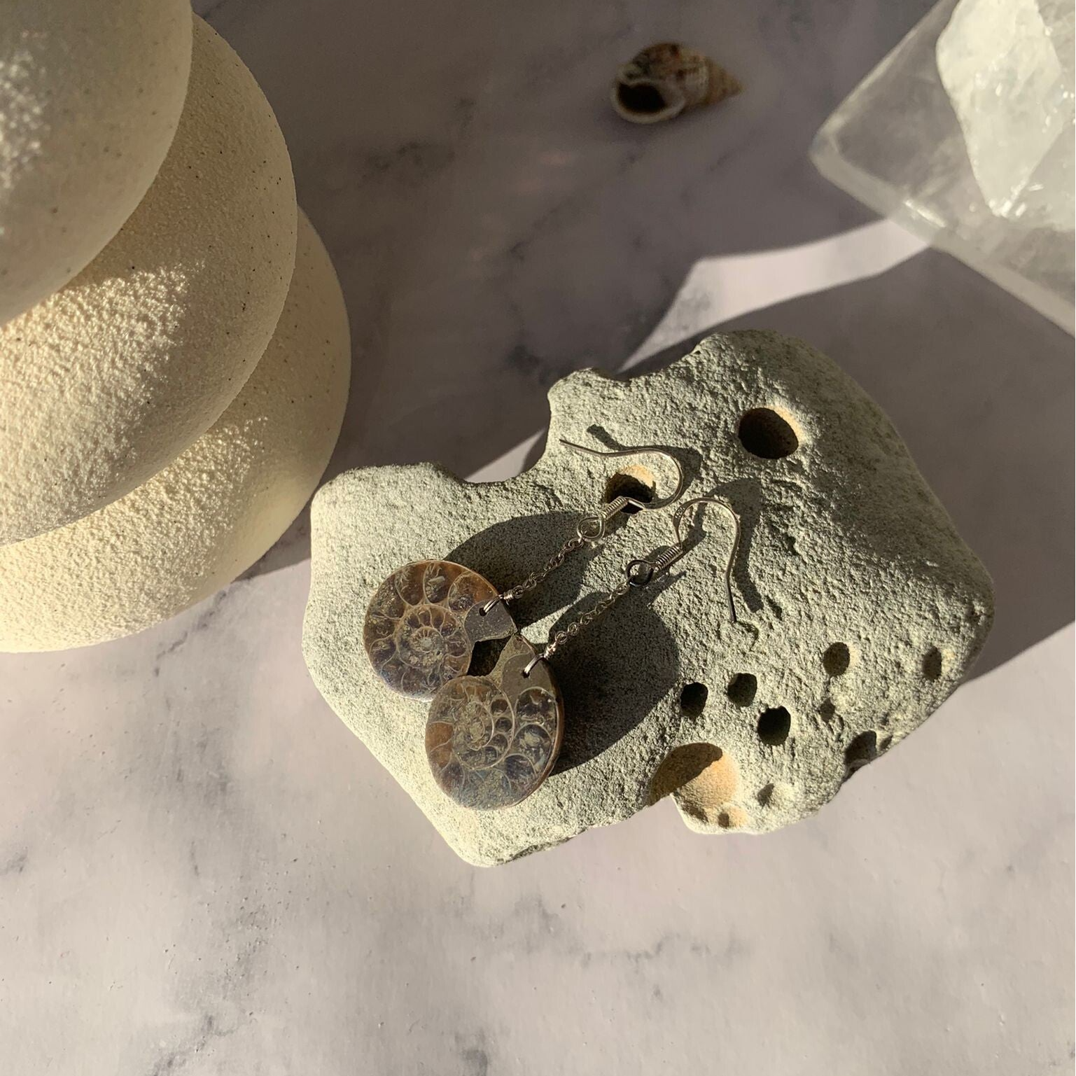 Ammonite earrings