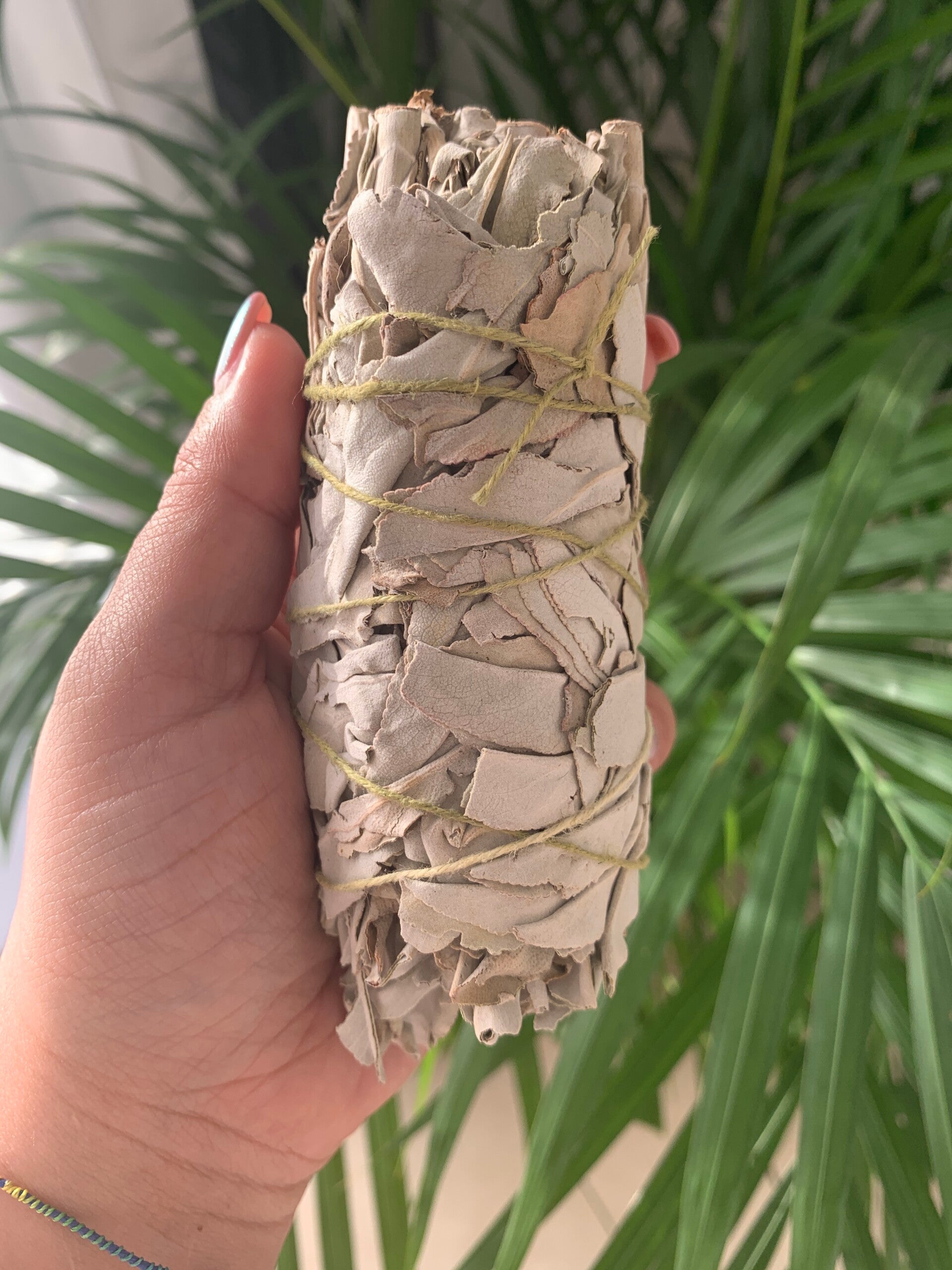 White sage Smudge Stick