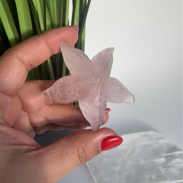 Rose Quartz Starfish