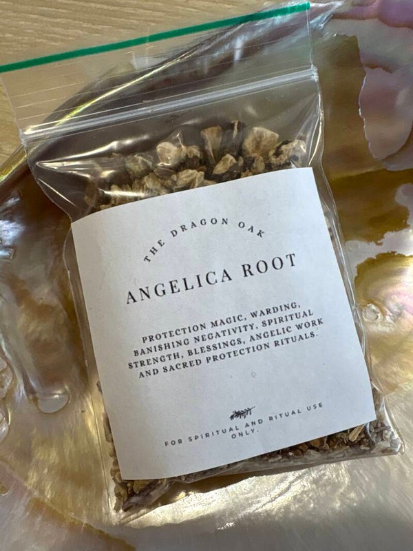 Angelica Root