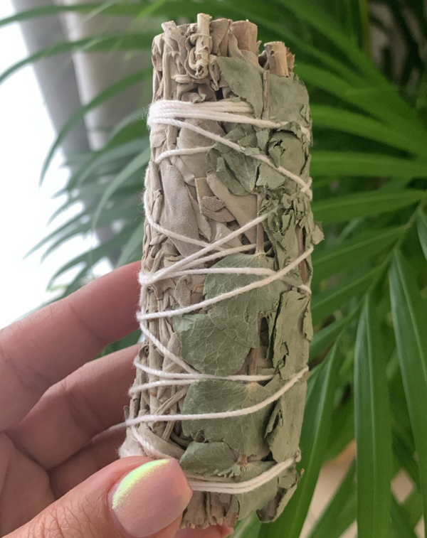 White sage & Eucalyptus Smudge Stick
