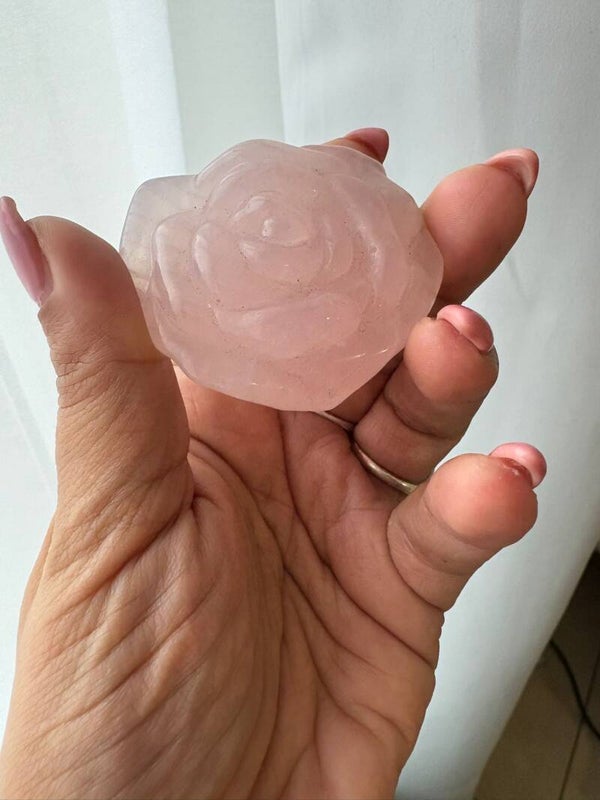 Rozequartz Rose