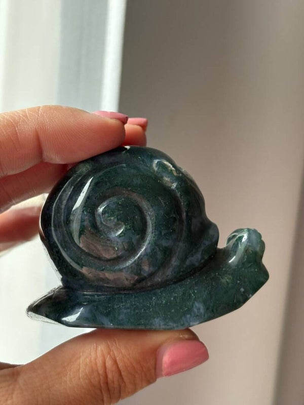 Moss Agate Snail