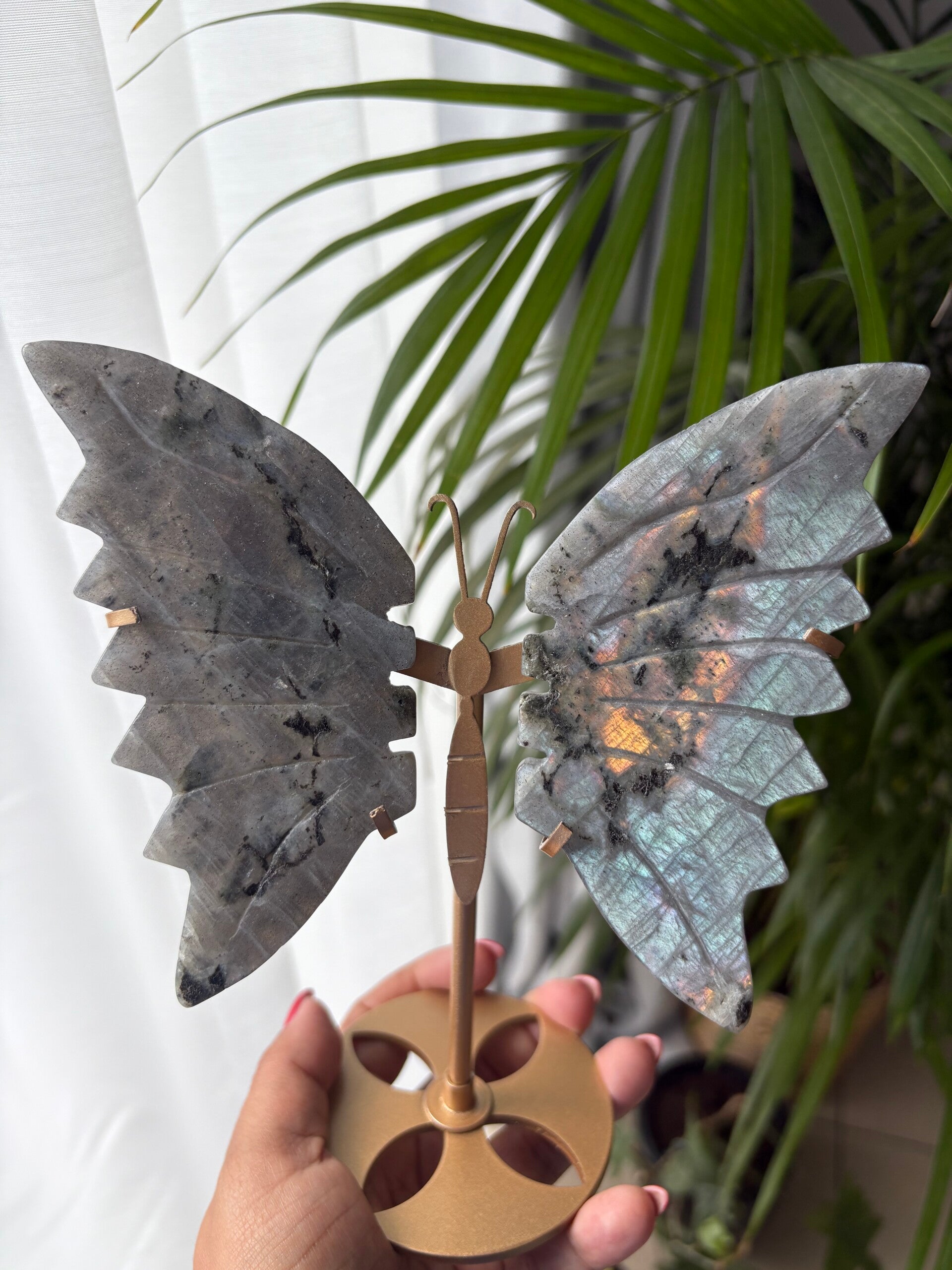 Labradorite butterfly Wings on stand