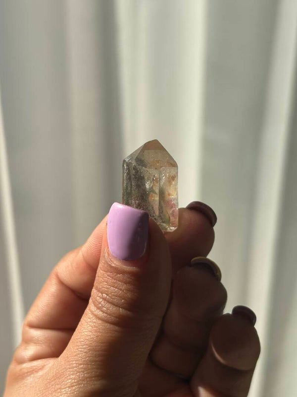 Smokey & Garden Specimen