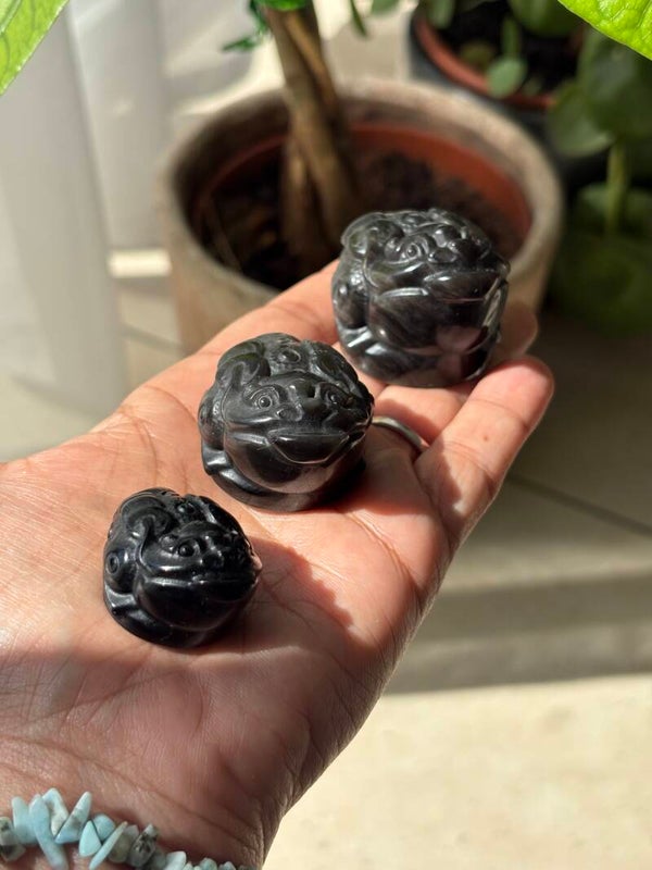 Obsidian Money Frog