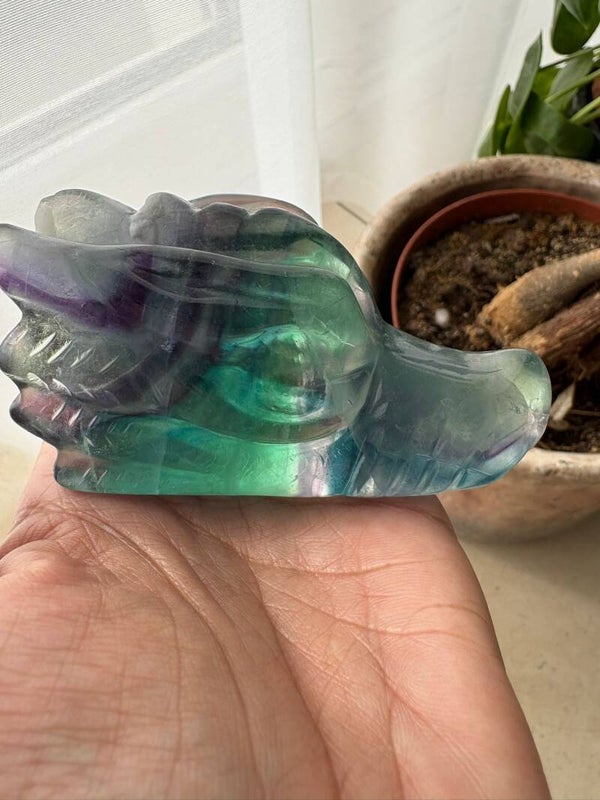 Rainbow Fluorite Dragon