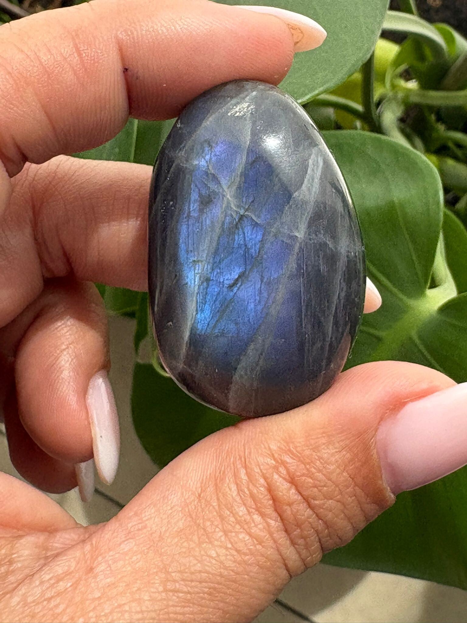 Labradorite Palmstone