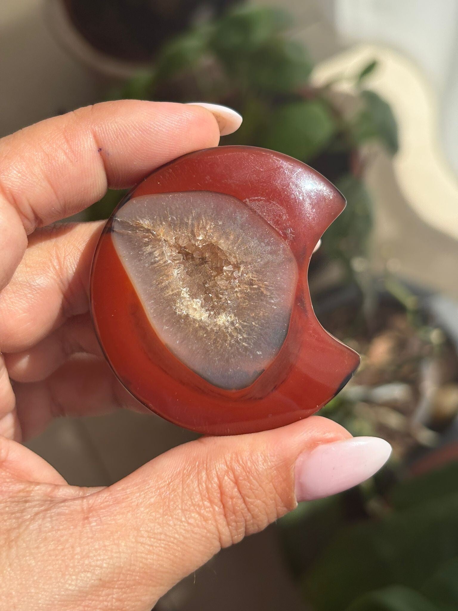 Black Carnelian druzy Moon Carving