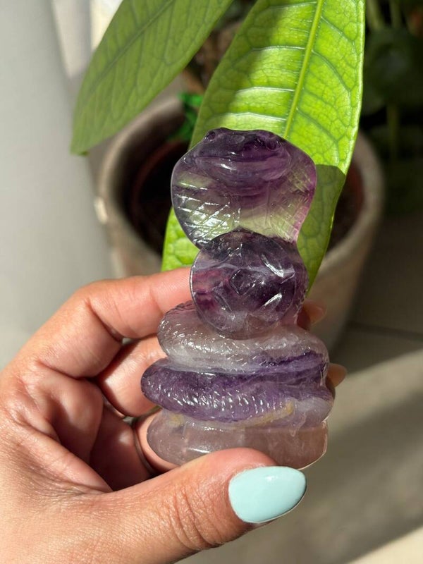 Fluorite Lucky Coin Snake