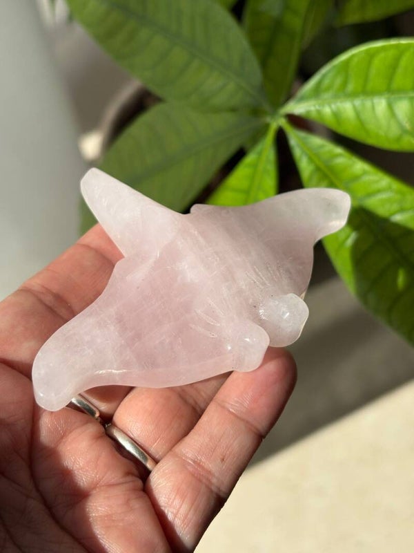 Rose Quartz Manta