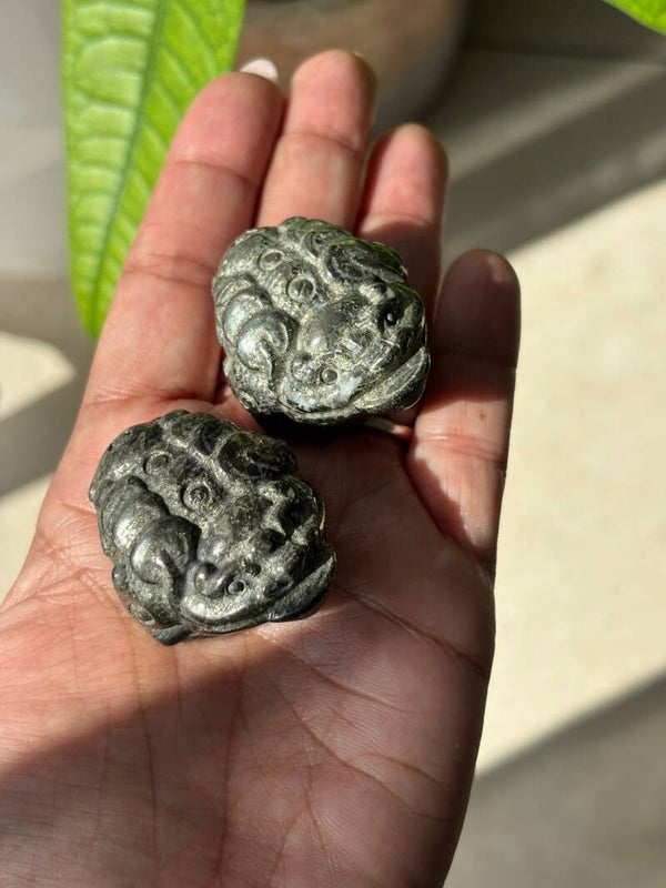 Pyrite Money Frog