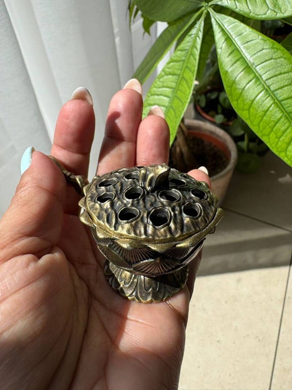 Lotus Frog Incense cone holder