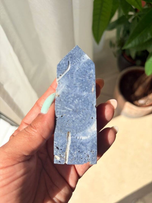 Blue Coral Tower