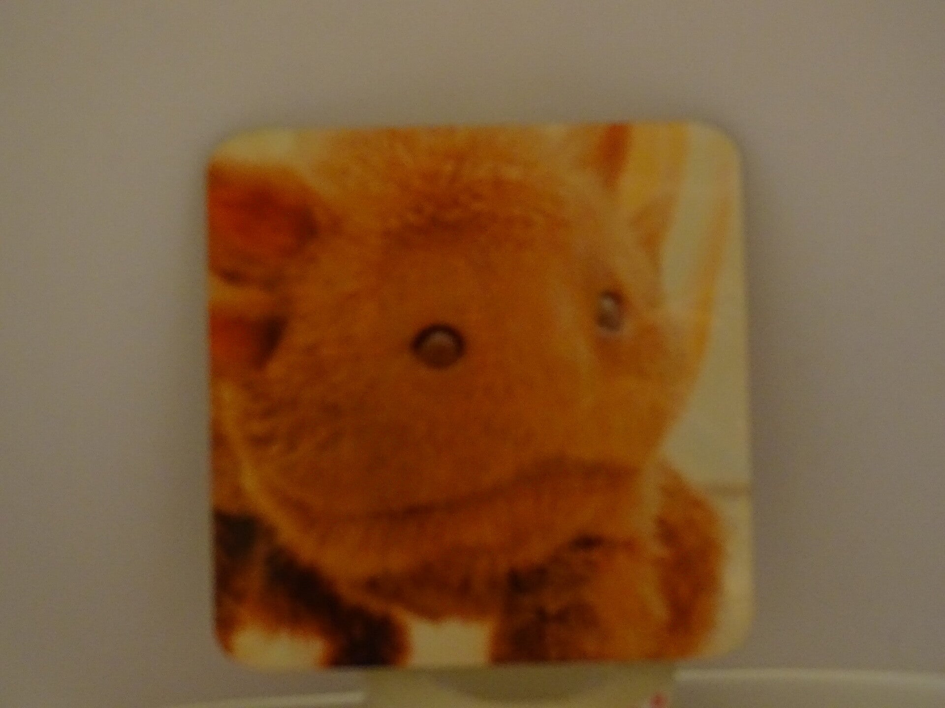 Coaster hard square Blurp