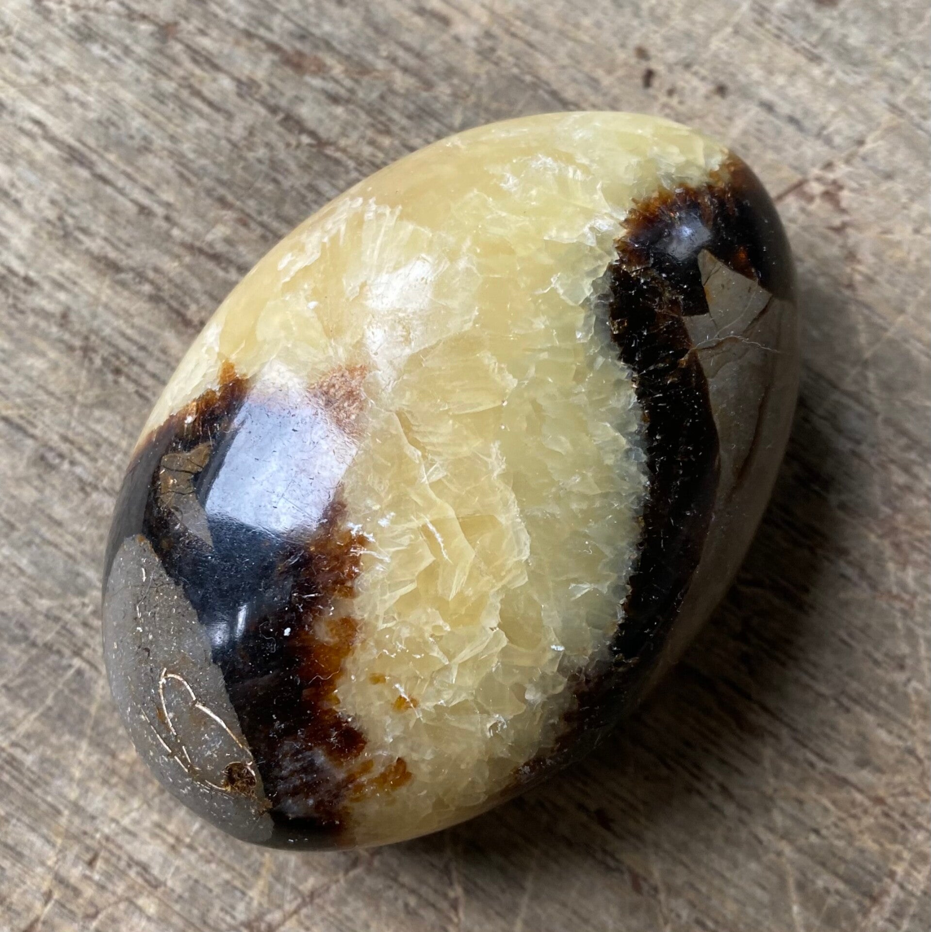 Septarie - Transformatie - Drakenei - Knuffelsteen - Massagesteen