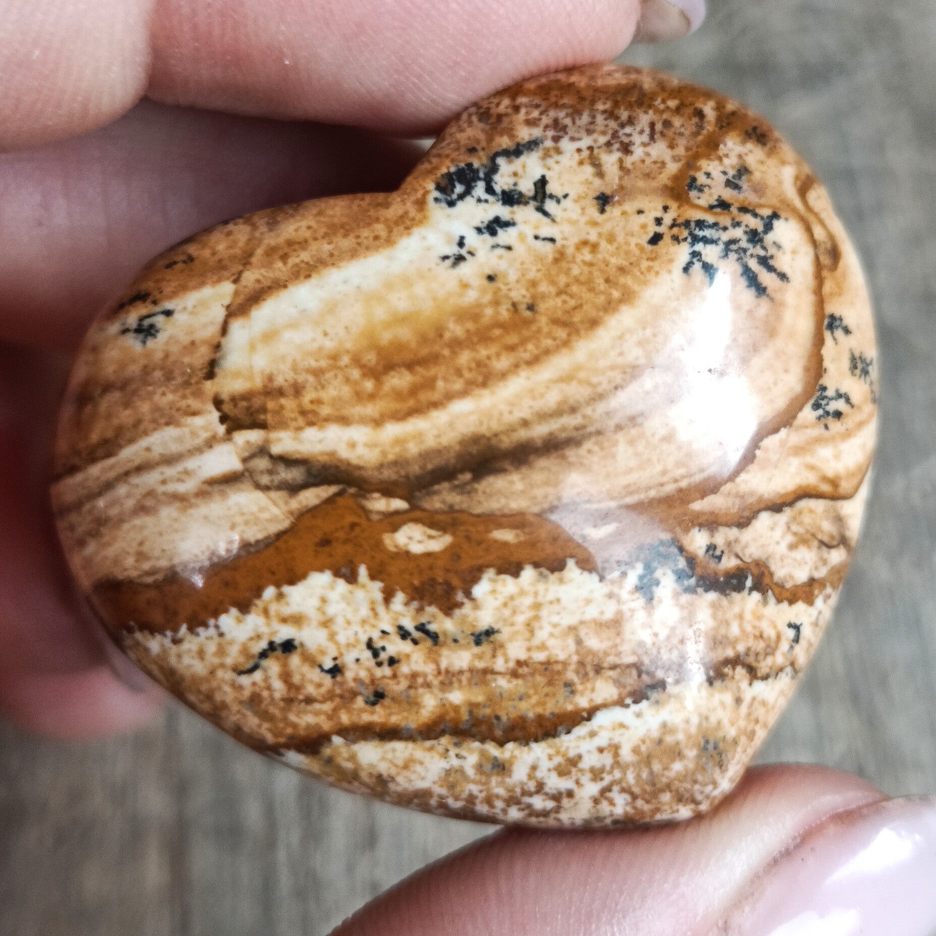 Hart Jaspis Landscape - (Ecologisch) Bewustzijn - 4cm