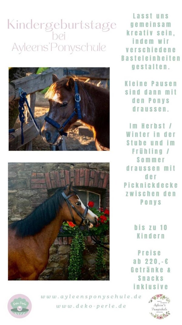 Kreativ Workshop/ Kindergeburtstag