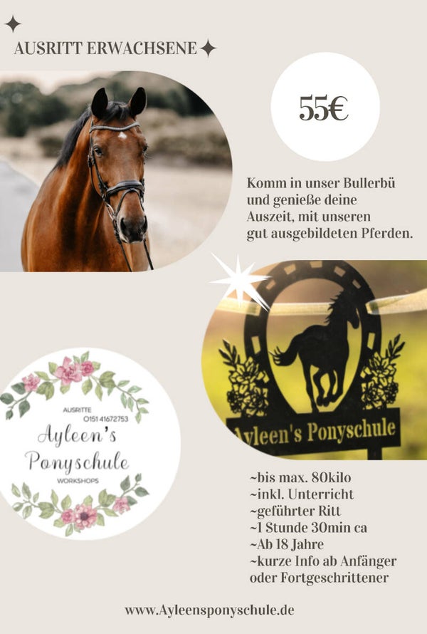 Ausritt für Erwachsene