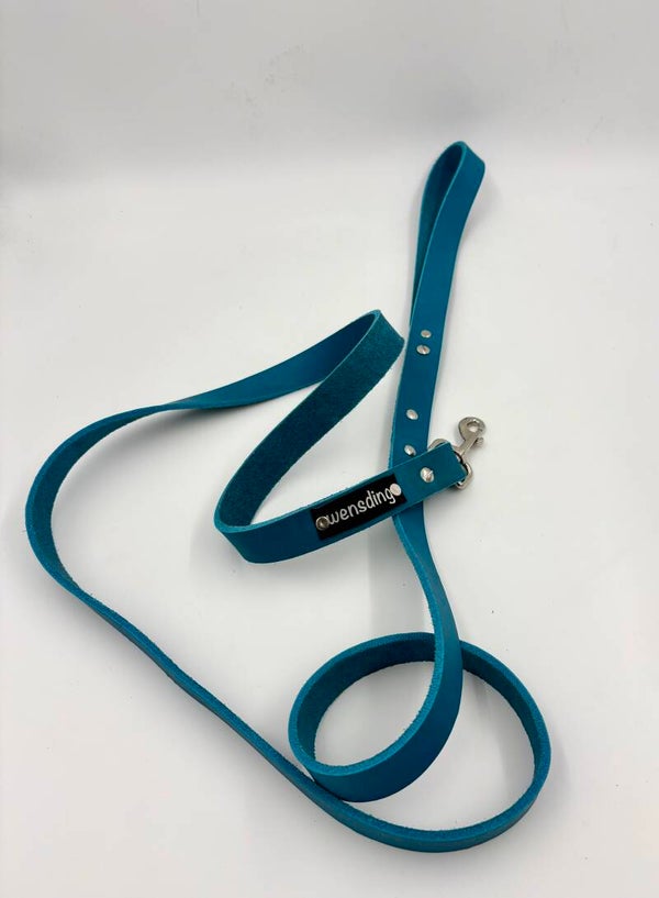 Hondenriem turquoise L