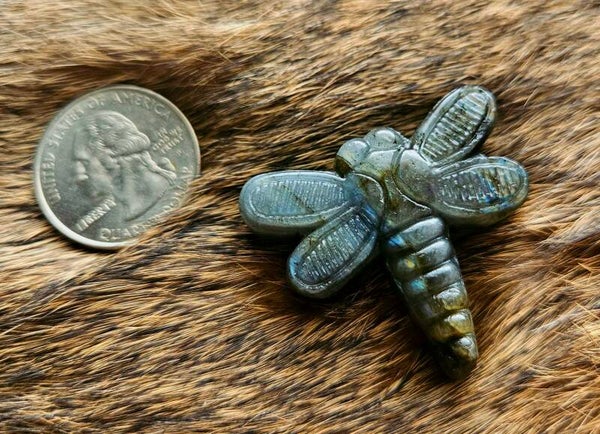 Labadorite dragonfly