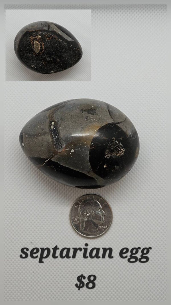 Septaian nodule