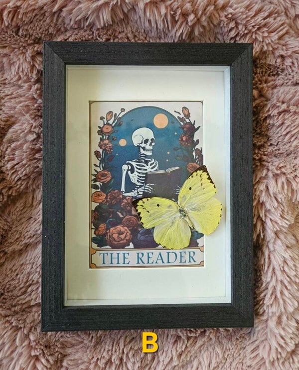 The reader w/real butterfly