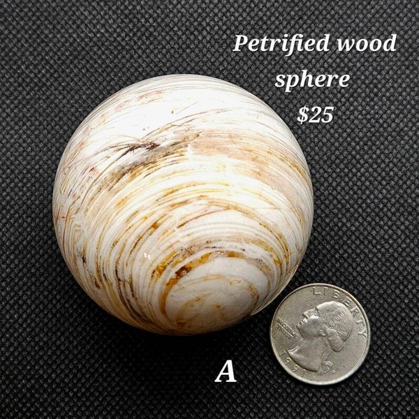 Petrified wood sphere