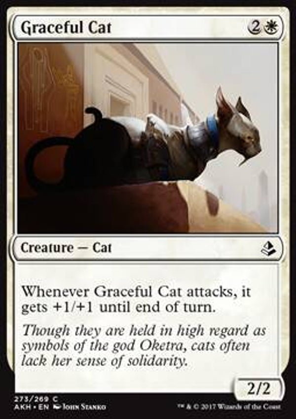 Magic the Gathering (MTG) : Graceful Cat (Amonkhet (AKH)) (PL Deck: 273/269) - C