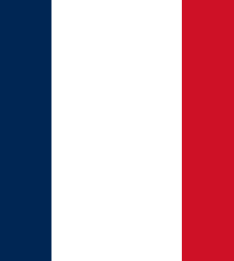 French flag pic