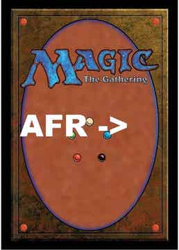 I AM A MTG DIVIDER FOR THIS SECTION