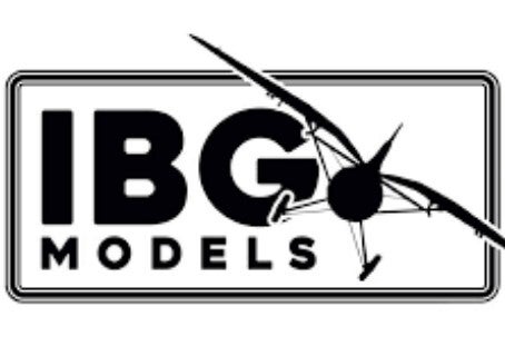 ICM LOGO PIC